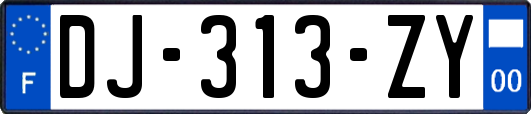 DJ-313-ZY