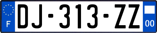 DJ-313-ZZ
