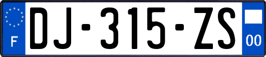 DJ-315-ZS