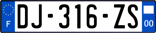 DJ-316-ZS