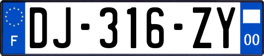 DJ-316-ZY