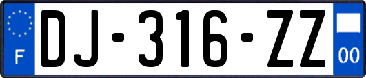 DJ-316-ZZ