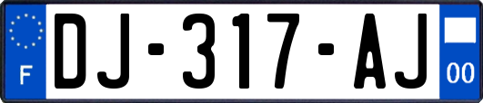 DJ-317-AJ