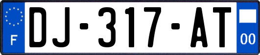 DJ-317-AT