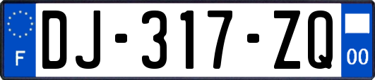 DJ-317-ZQ
