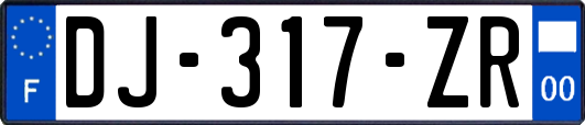 DJ-317-ZR