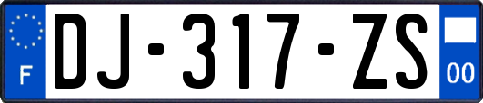 DJ-317-ZS
