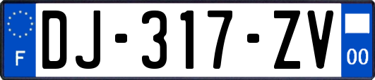 DJ-317-ZV