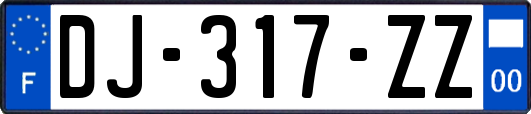 DJ-317-ZZ