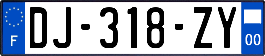 DJ-318-ZY