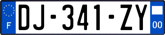 DJ-341-ZY