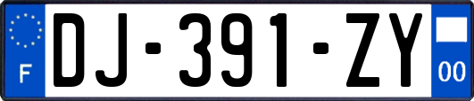 DJ-391-ZY