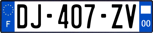 DJ-407-ZV