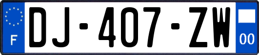DJ-407-ZW