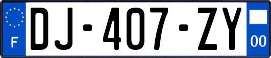 DJ-407-ZY