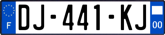 DJ-441-KJ