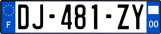 DJ-481-ZY