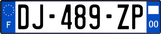 DJ-489-ZP