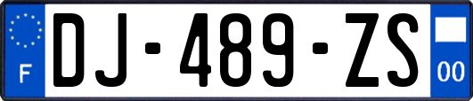 DJ-489-ZS