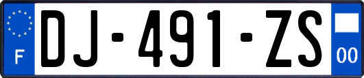 DJ-491-ZS