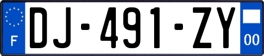 DJ-491-ZY