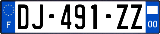 DJ-491-ZZ