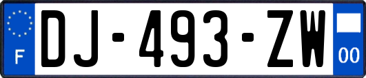 DJ-493-ZW