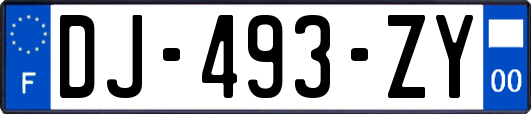 DJ-493-ZY