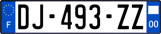 DJ-493-ZZ