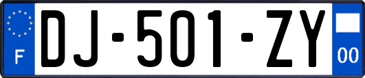DJ-501-ZY