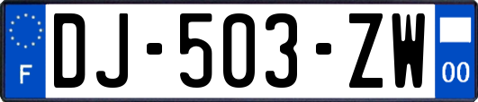 DJ-503-ZW