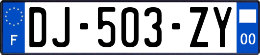 DJ-503-ZY