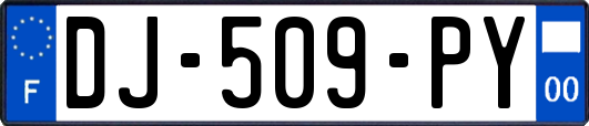 DJ-509-PY
