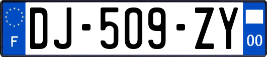 DJ-509-ZY
