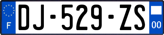DJ-529-ZS