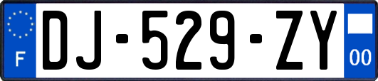 DJ-529-ZY