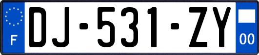 DJ-531-ZY