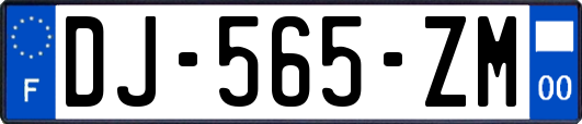 DJ-565-ZM