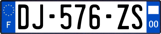 DJ-576-ZS