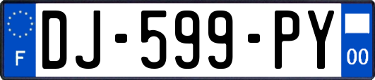 DJ-599-PY