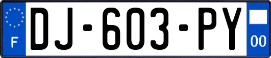 DJ-603-PY
