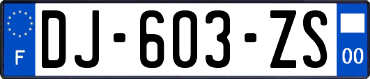 DJ-603-ZS