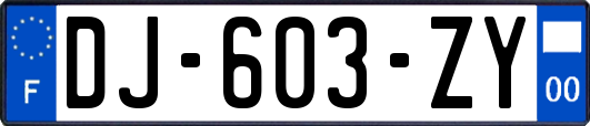 DJ-603-ZY