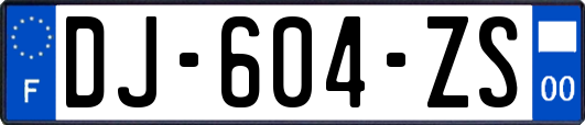 DJ-604-ZS