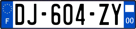 DJ-604-ZY