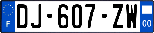 DJ-607-ZW