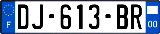 DJ-613-BR