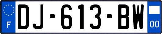 DJ-613-BW