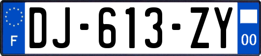 DJ-613-ZY