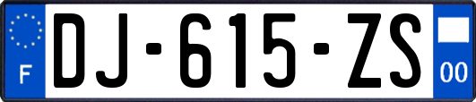DJ-615-ZS
